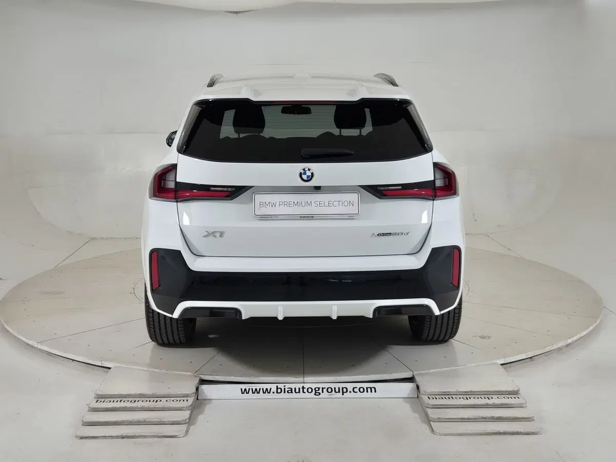 BMW X1 usata a Torino (4)
