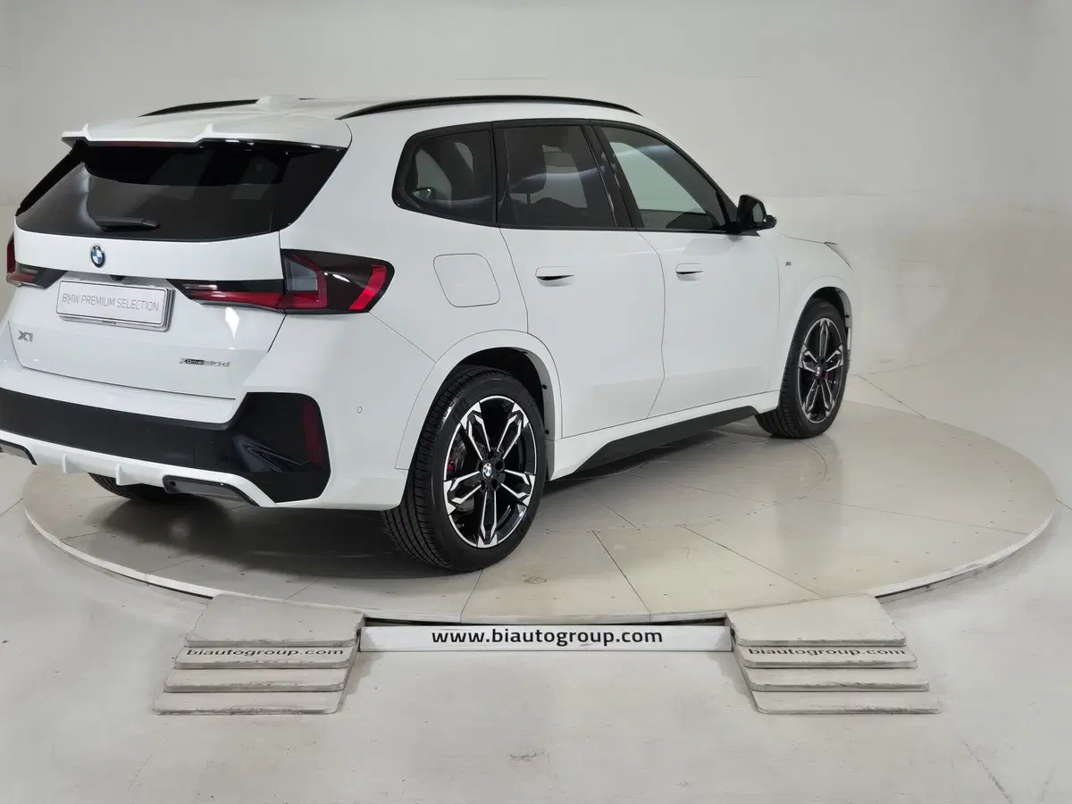 BMW X1 usata a Torino (5)