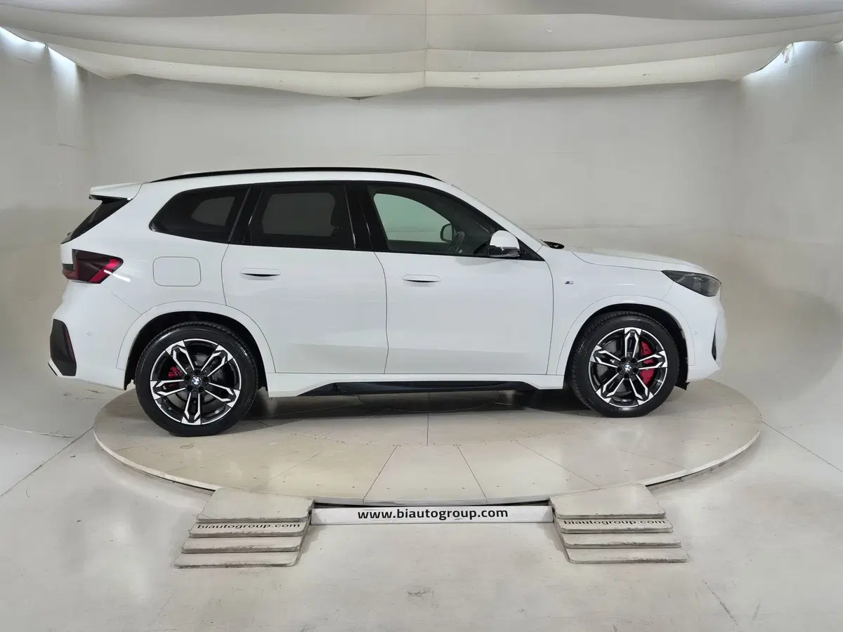 BMW X1 usata a Torino (6)