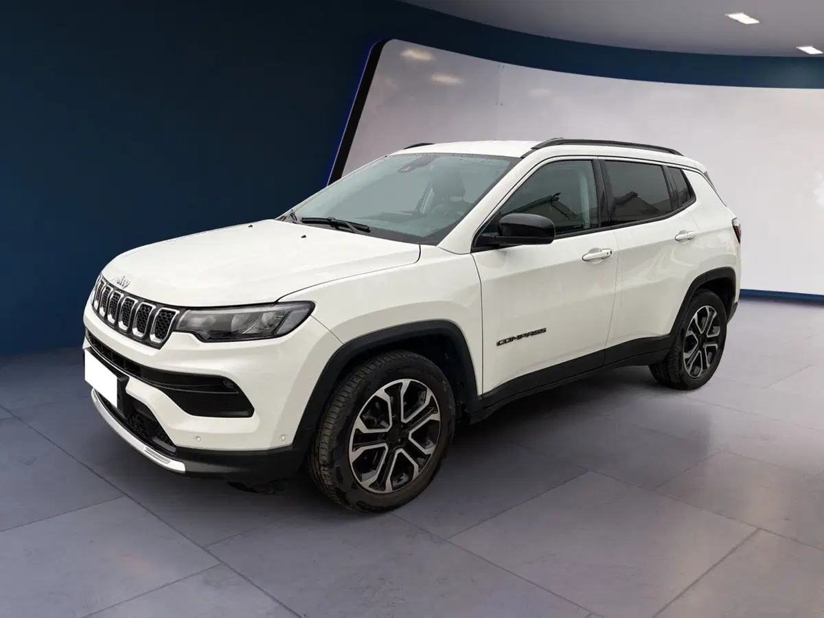 Jeep Compass usata a Torino (2)