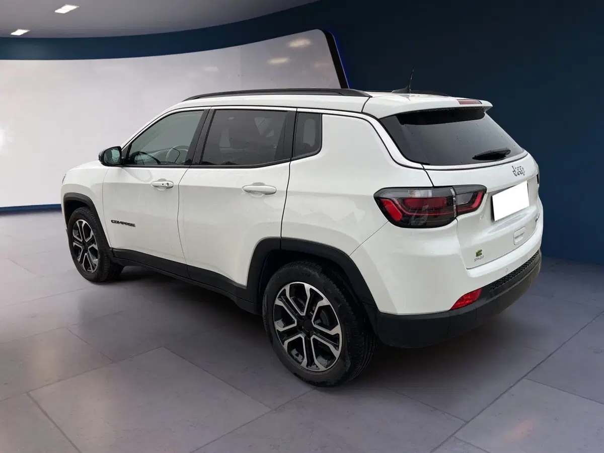 Jeep Compass usata a Torino (3)