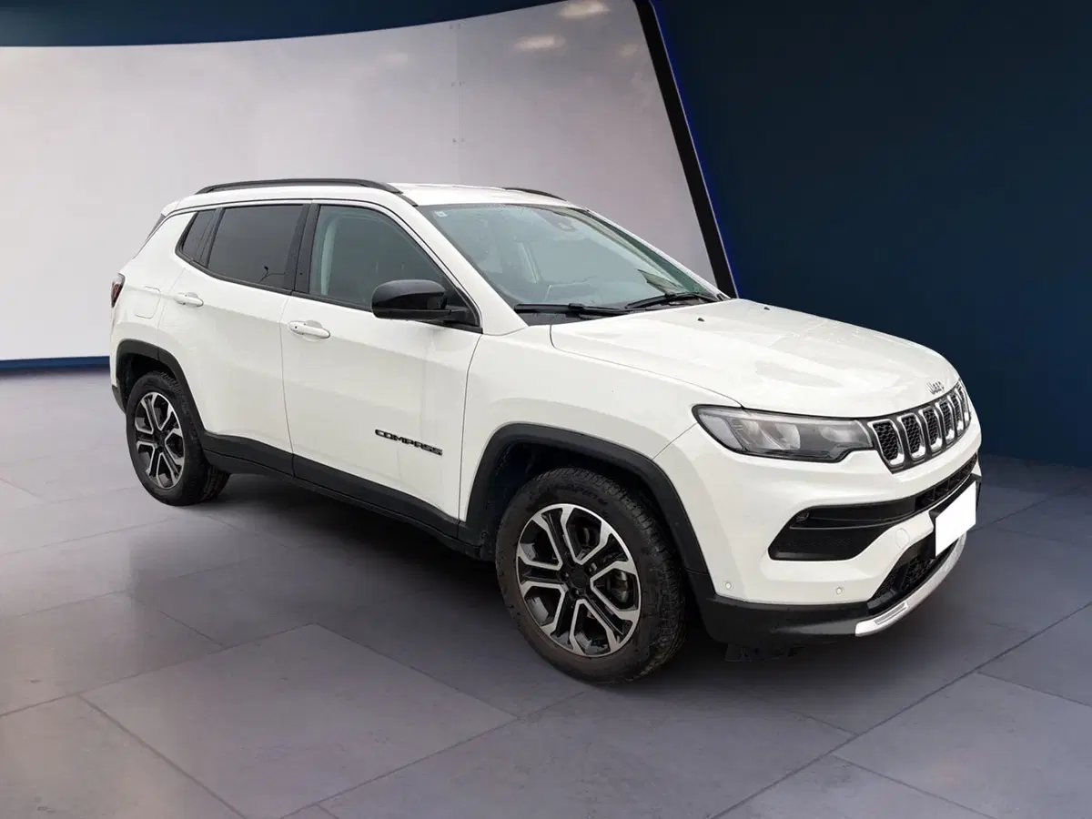 Jeep Compass usata a Torino (6)