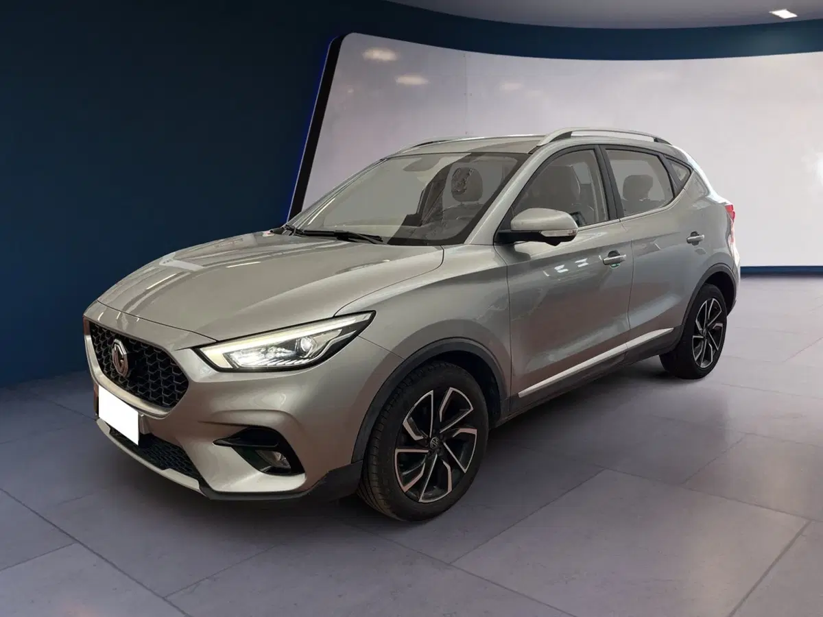 Mg ZS usata a Torino (3)