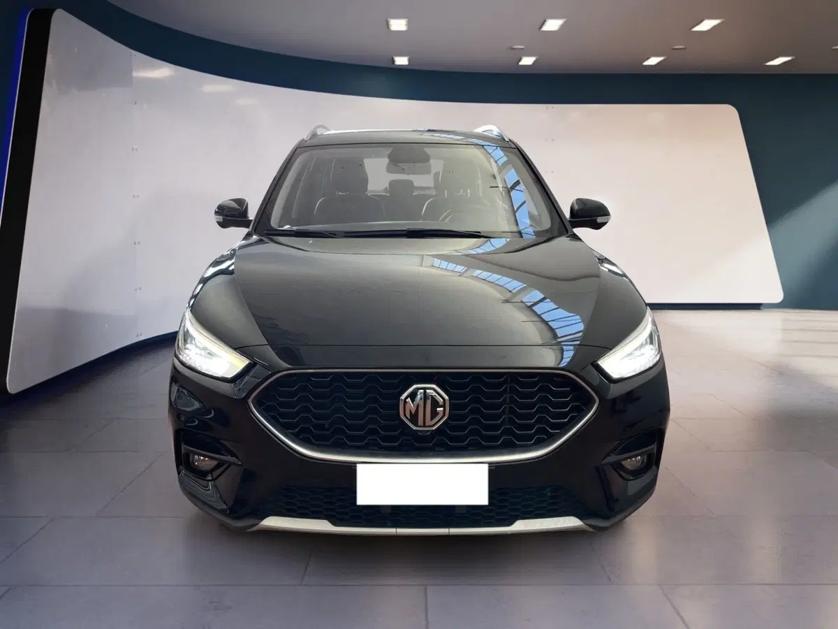 Mg ZS usata a Torino