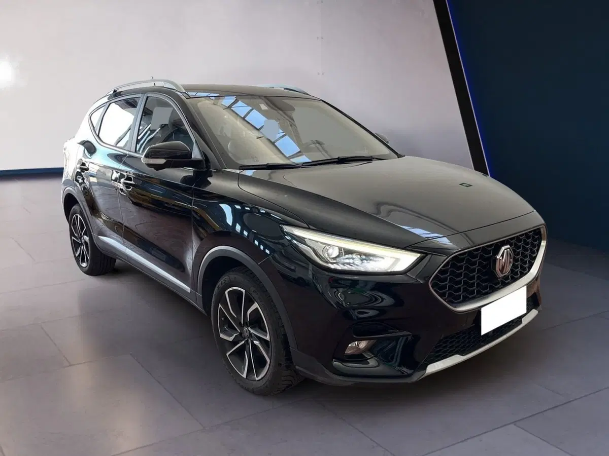 Mg ZS usata a Torino (2)
