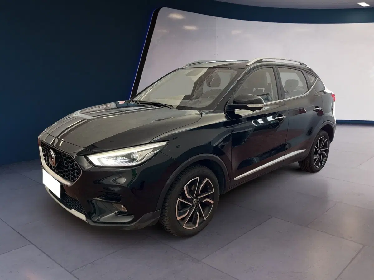 Mg ZS usata a Torino (3)