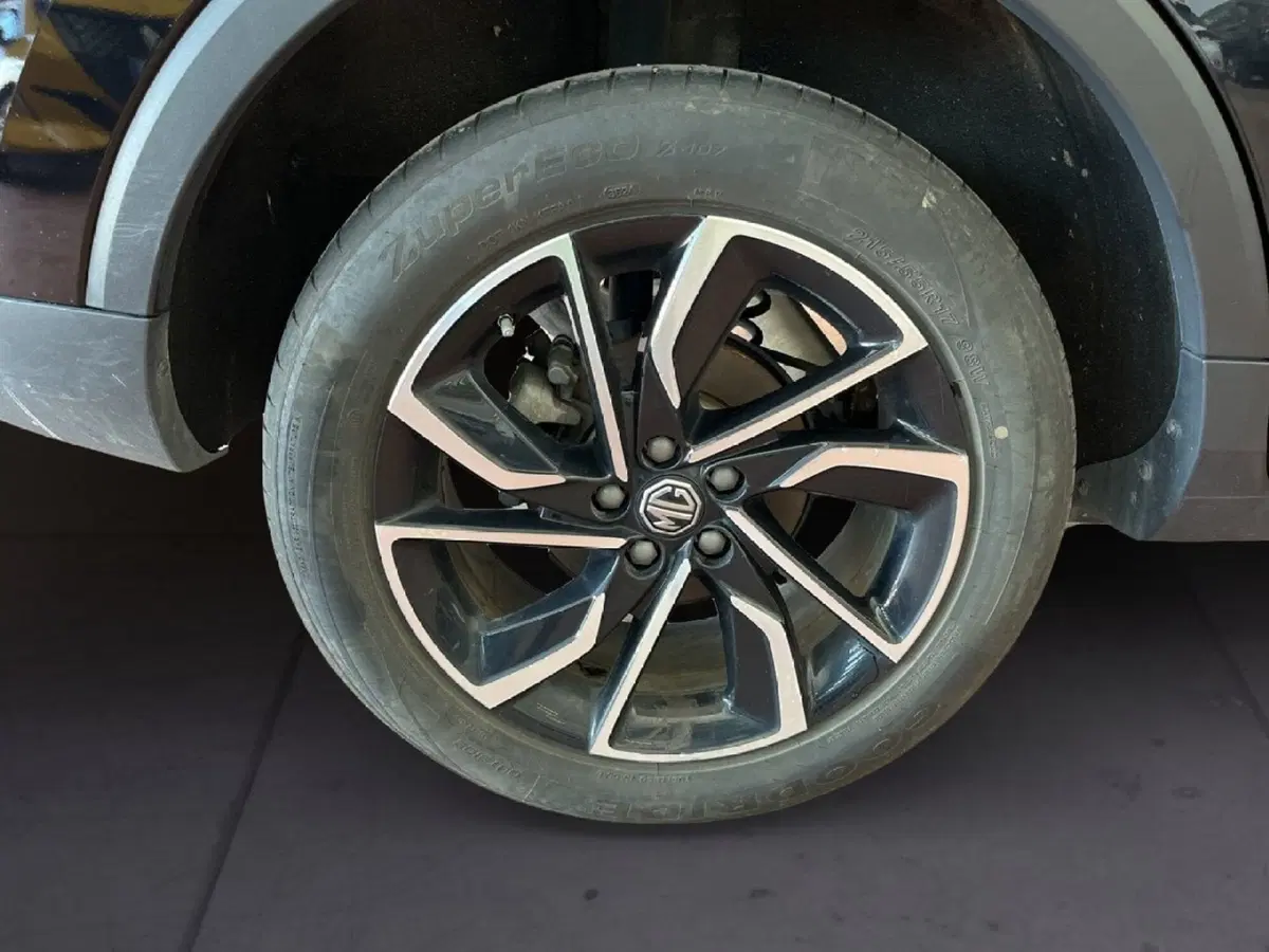 Mg ZS usata a Torino (7)