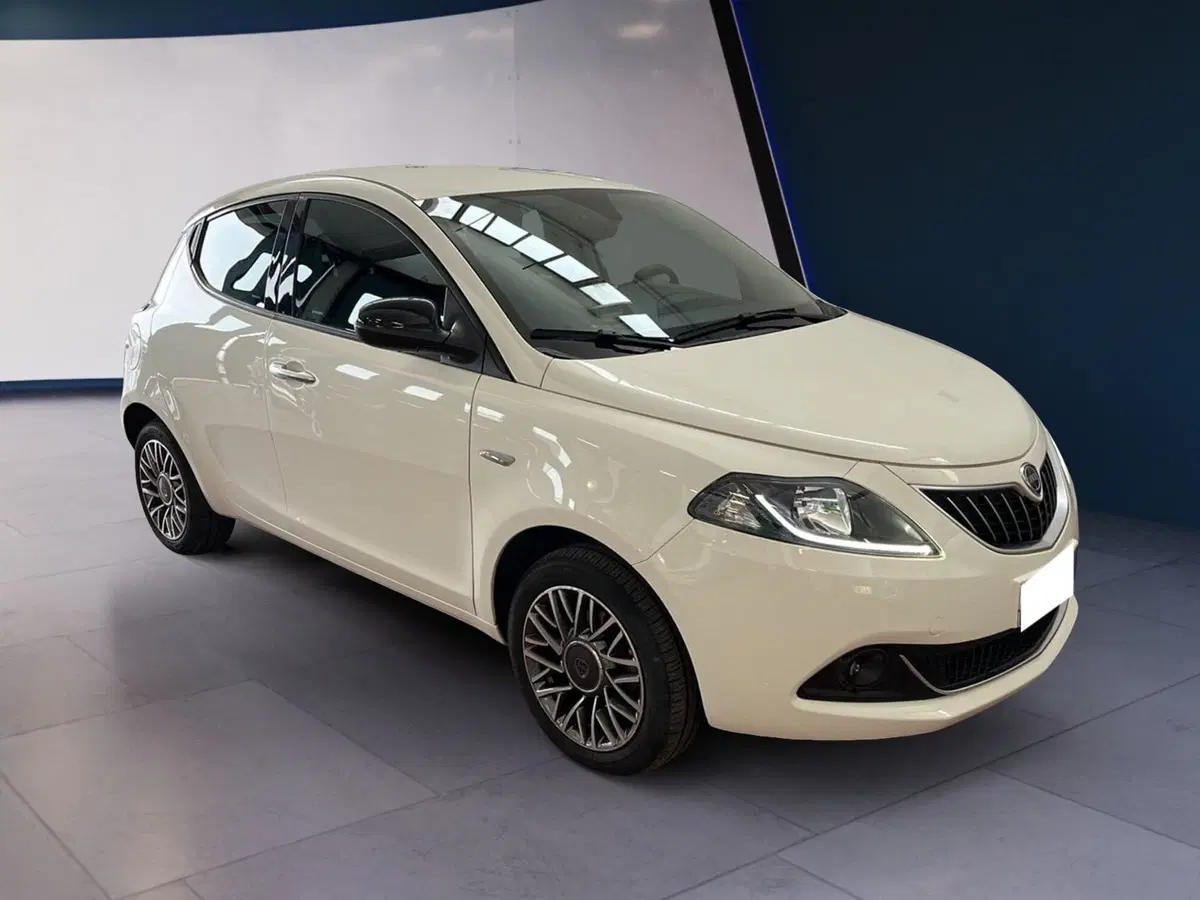 Lancia Ypsilon usata a Torino (2)