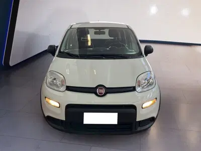 Fiat Panda Cross Cross 1.0 FireFly S&S Hybrid del 2023 usata a Torino