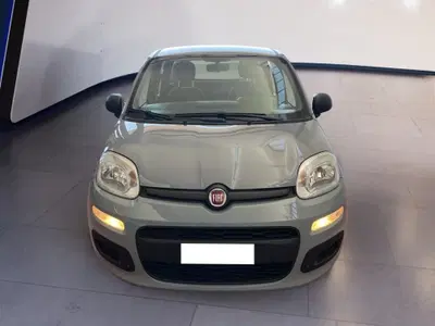 Fiat Panda 1.0 FireFly S&S Hybrid Easy del 2020 usata a Torino