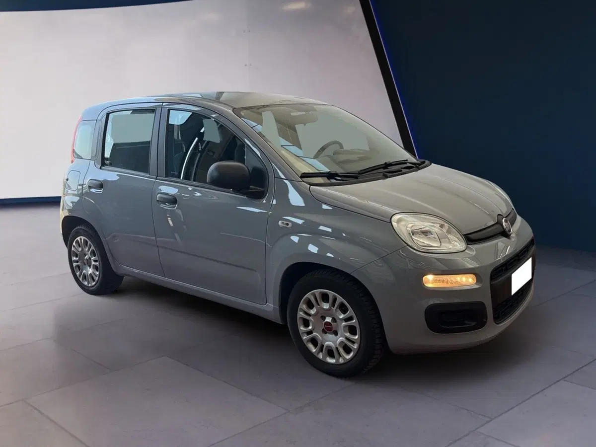 Fiat Panda usata a Torino (2)