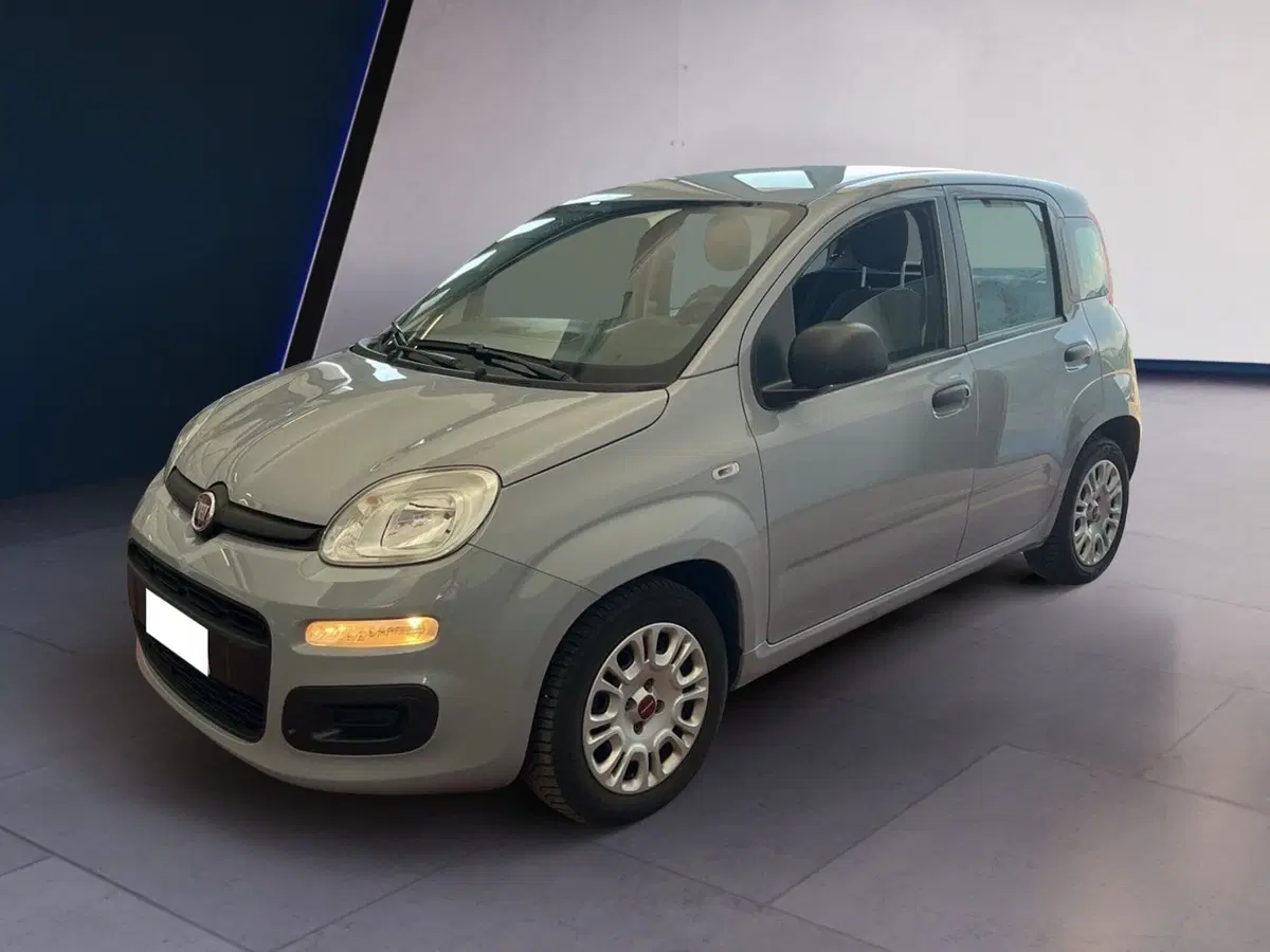 Fiat Panda usata a Torino (3)