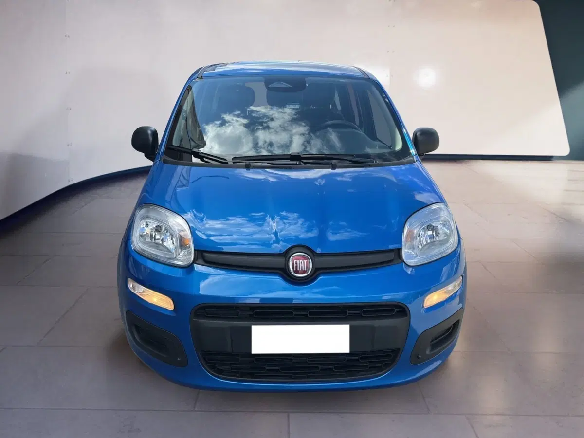 Fiat Pandina usata a Torino