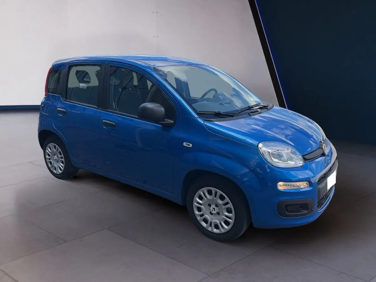 Fiat Pandina usata a Torino (2)