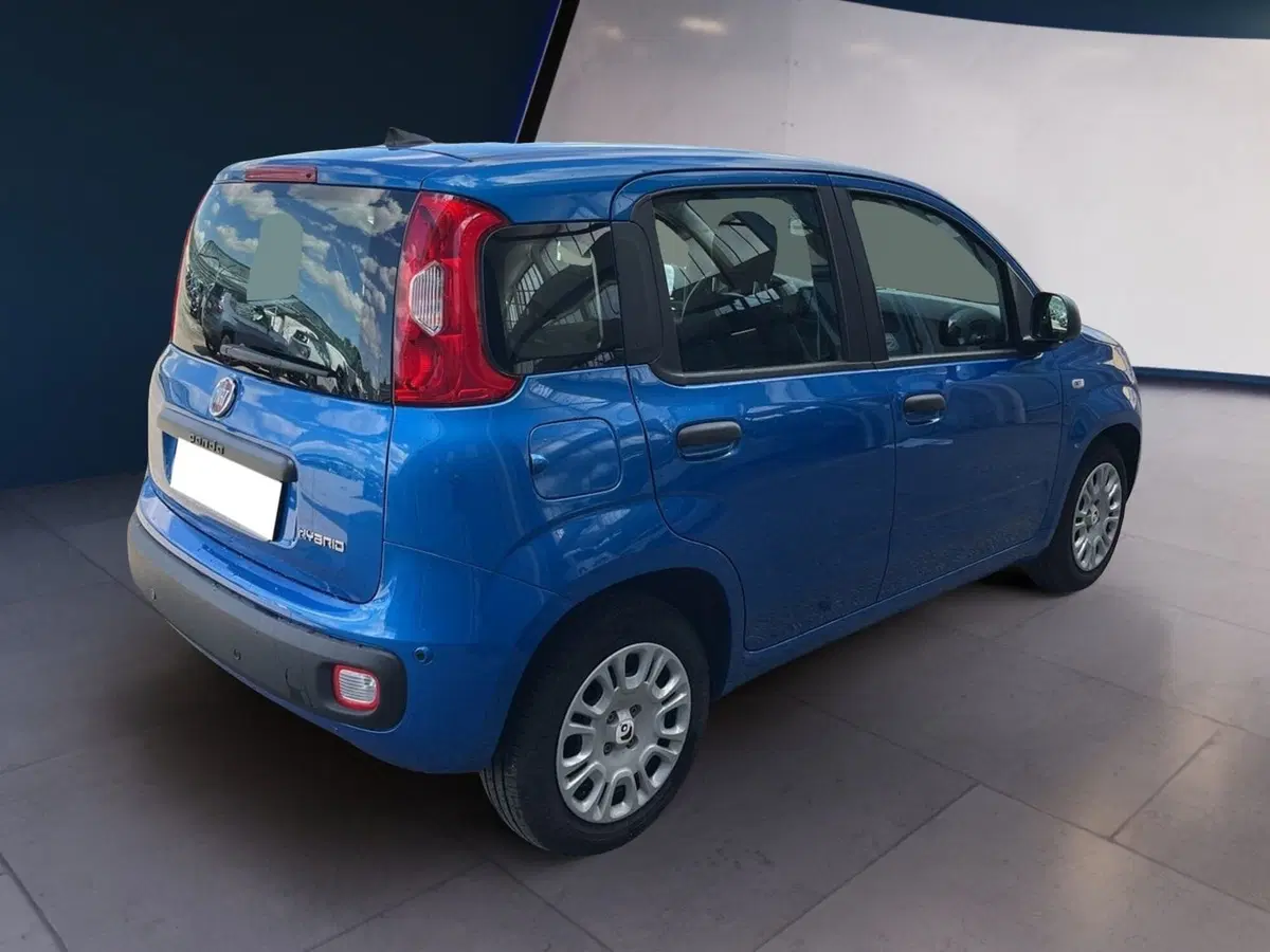 Fiat Pandina usata a Torino (3)