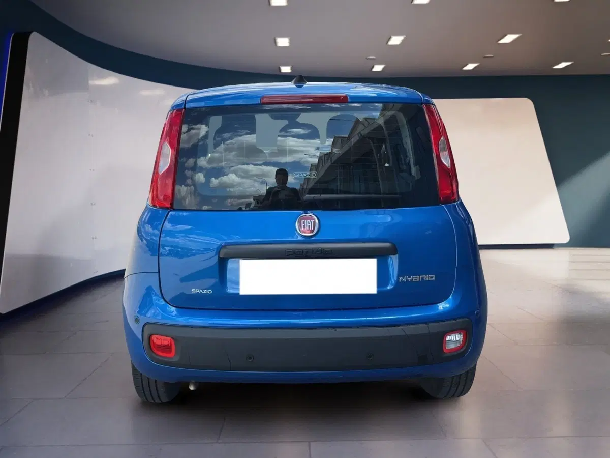 Fiat Pandina usata a Torino (4)