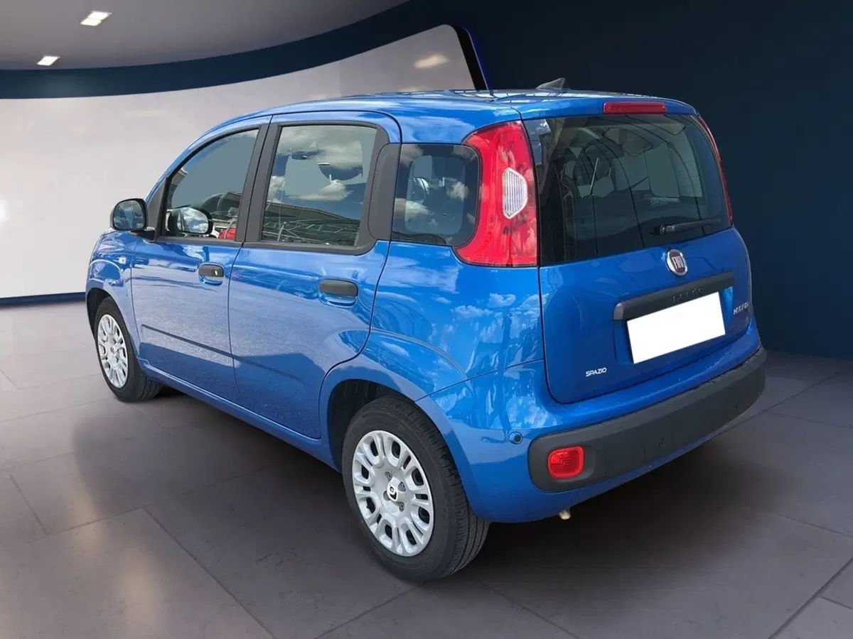 Fiat Pandina usata a Torino (5)