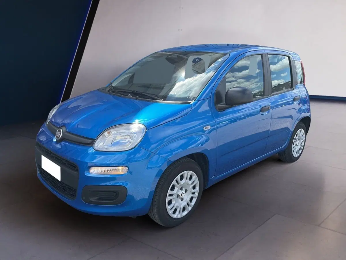Fiat Pandina usata a Torino (6)