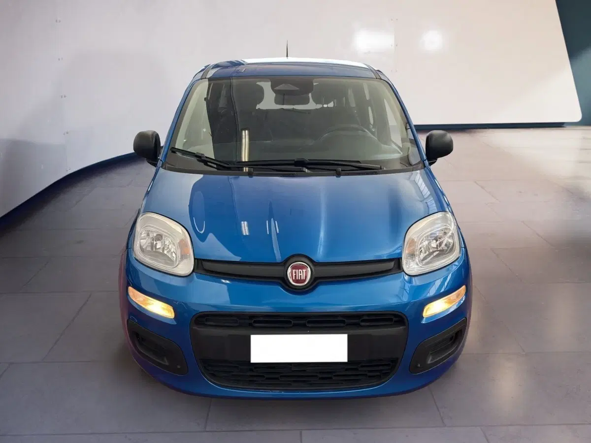 Fiat Pandina usata a Torino