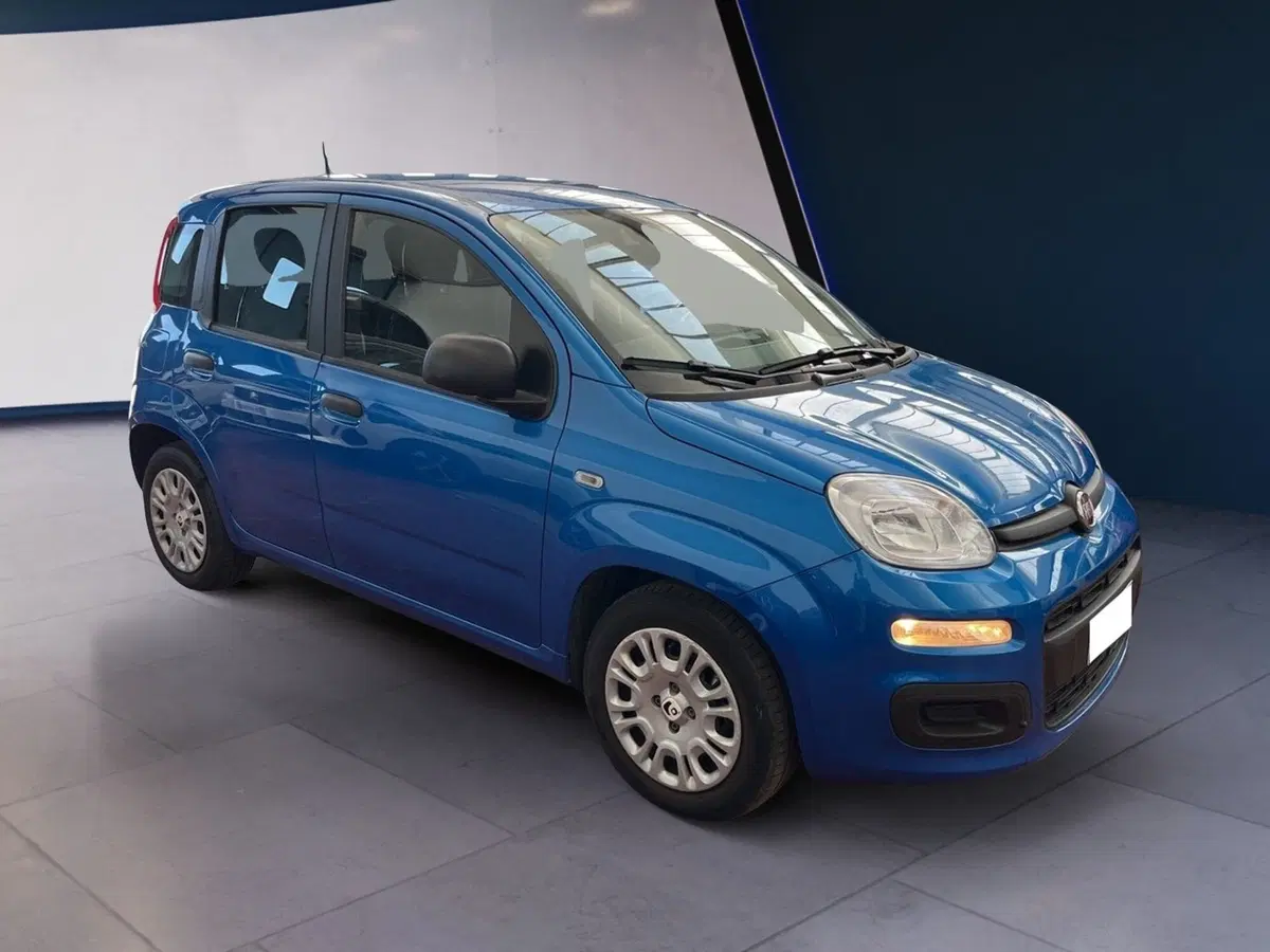 Fiat Pandina usata a Torino (2)