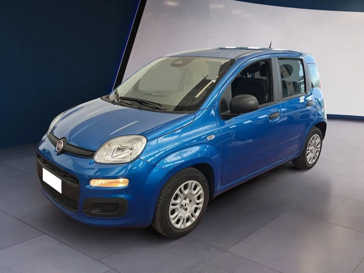Fiat Pandina usata a Torino (3)