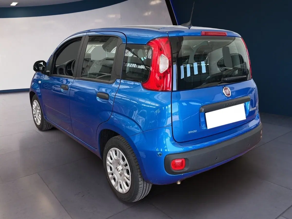 Fiat Pandina usata a Torino (4)