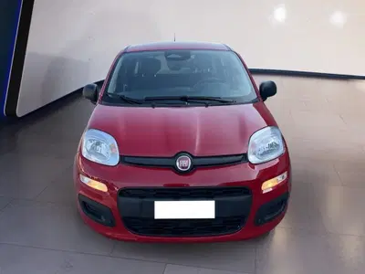 Fiat Pandina 1.0 firefly hybrid s&s 70cv del 2025 usata a Torino