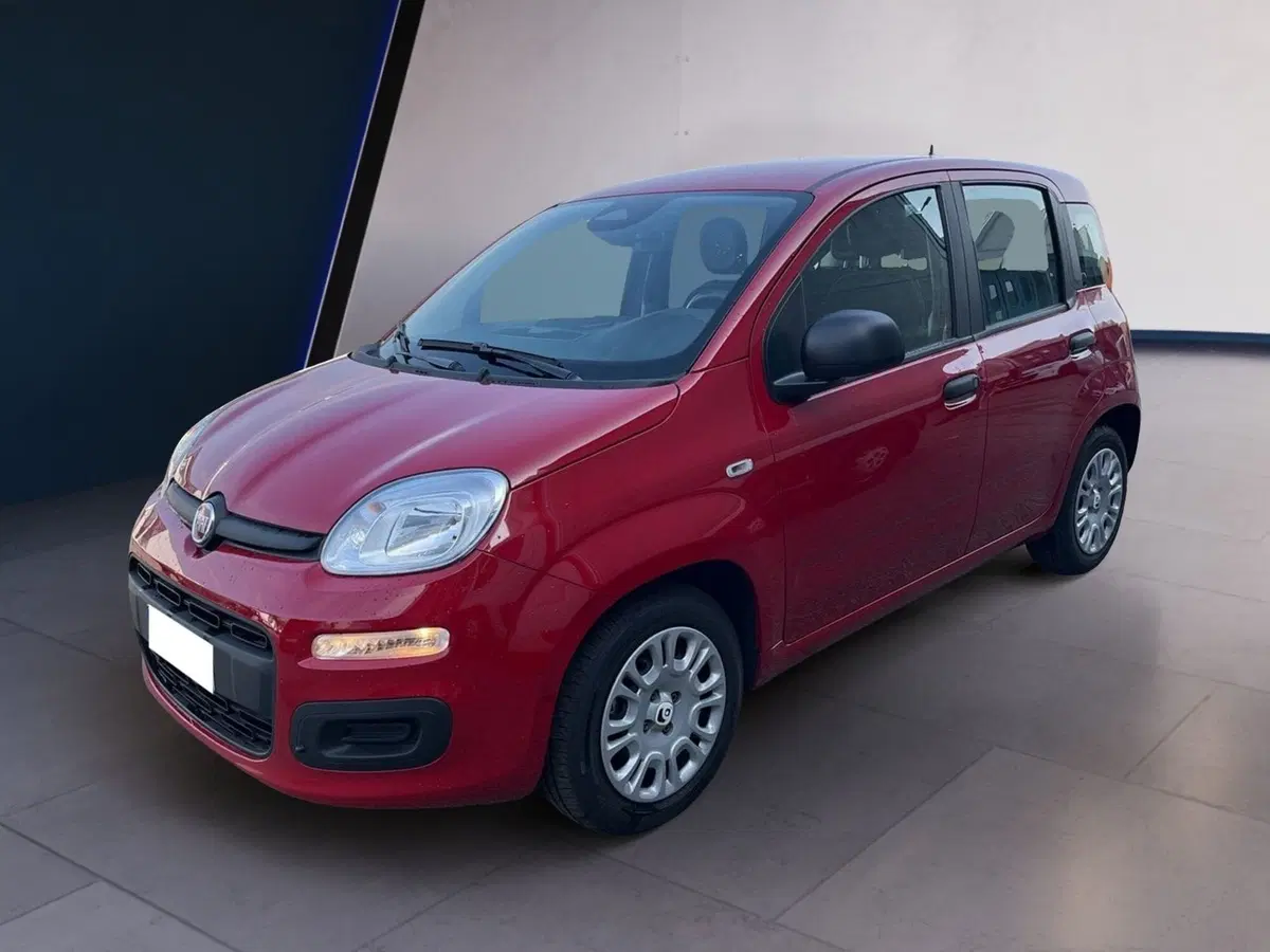 Fiat Pandina usata a Torino (2)