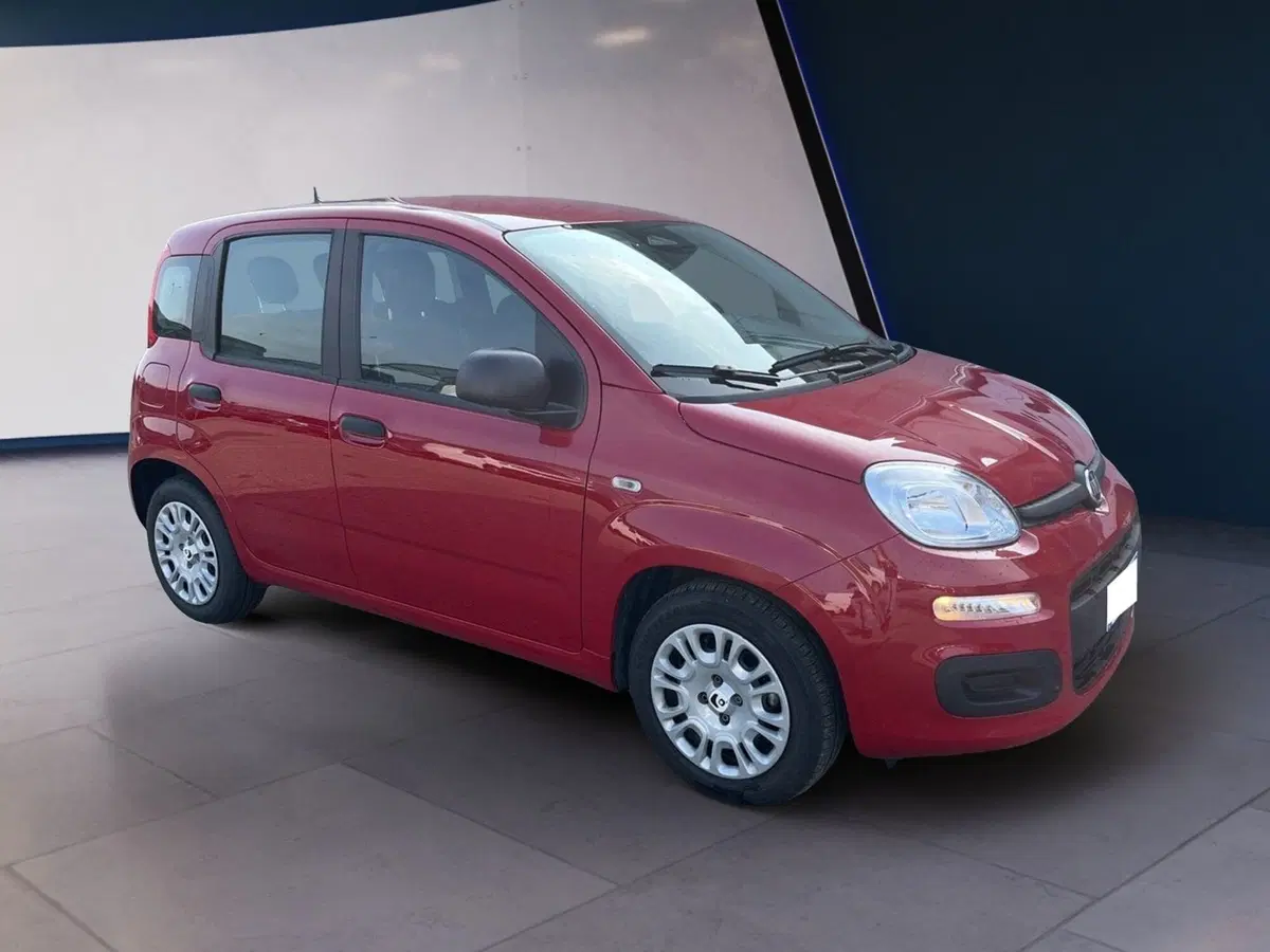 Fiat Pandina usata a Torino (3)