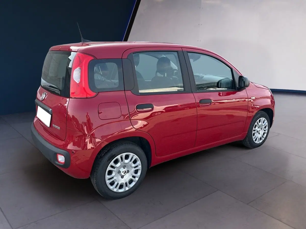 Fiat Pandina usata a Torino (4)