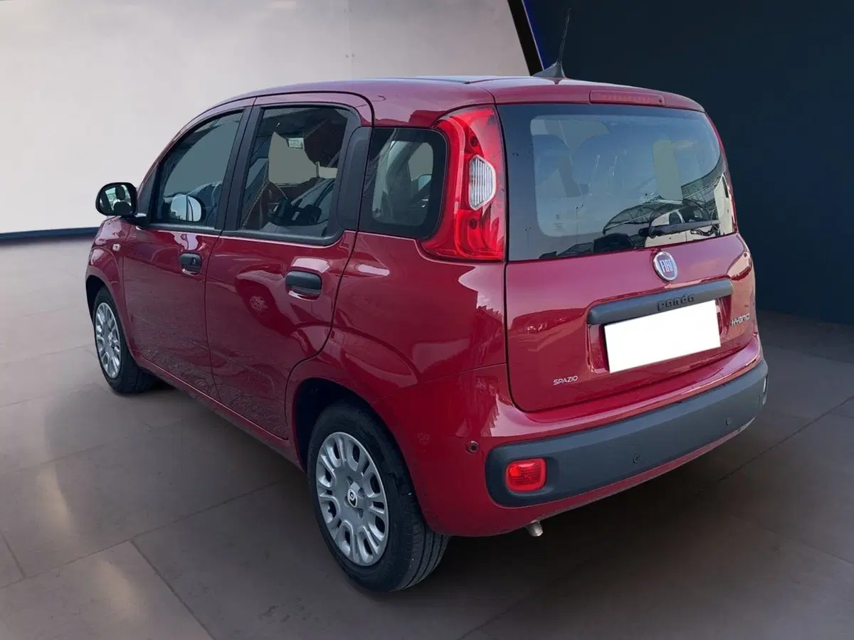 Fiat Pandina usata a Torino (6)