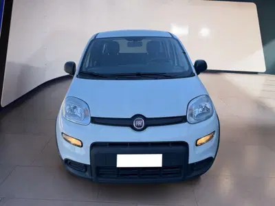 Fiat Panda Cross Cross 1.0 FireFly S&S Hybrid del 2023 usata a Torino