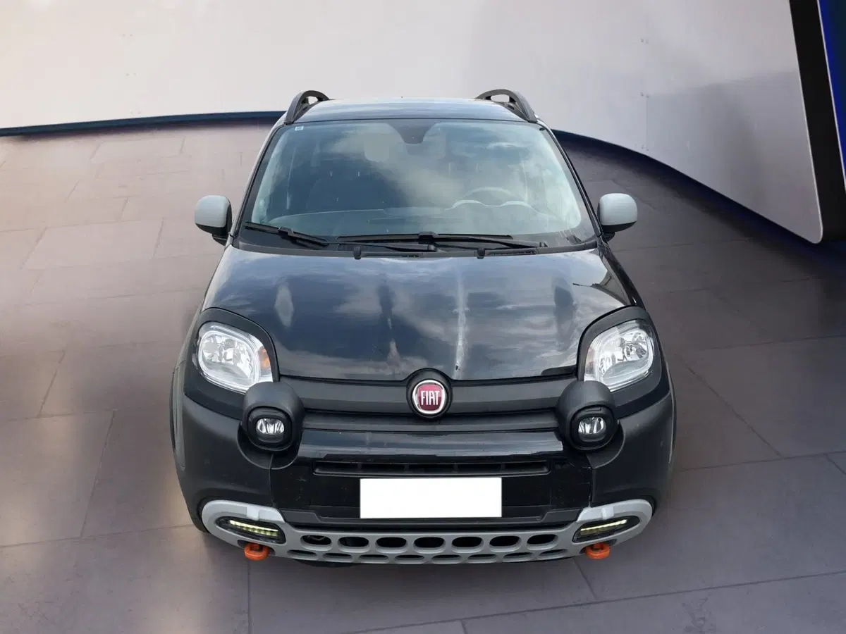 Fiat Panda Cross usata a Torino