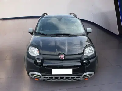 Fiat Panda Cross Cross 1.0 FireFly S&S Hybrid del 2023 usata a Torino
