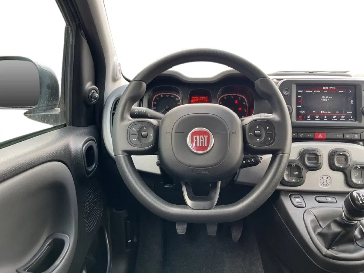 Fiat Panda Cross usata a Torino (10)