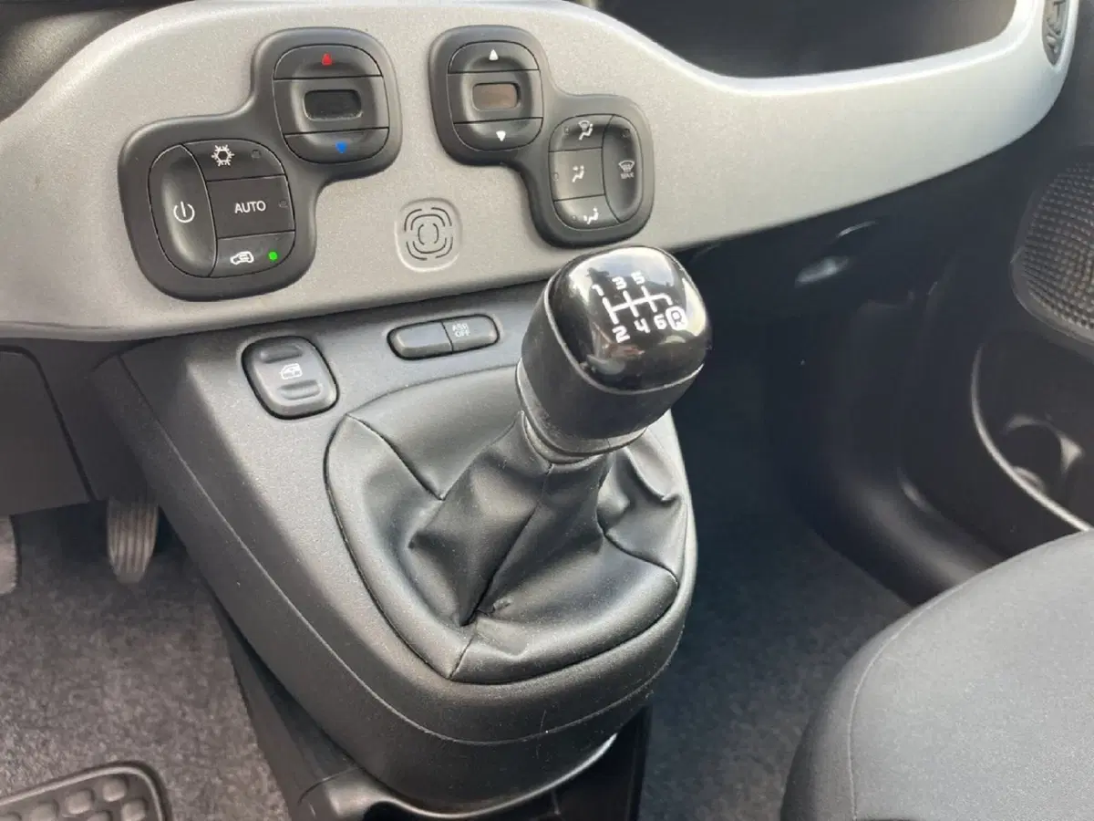 Fiat Panda Cross usata a Torino (11)