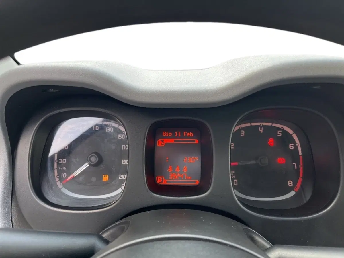 Fiat Panda Cross usata a Torino (13)
