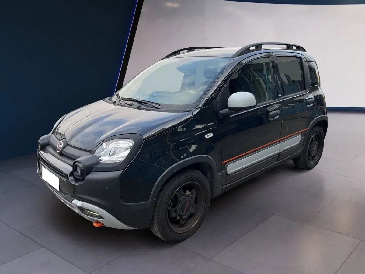 Fiat Panda Cross usata a Torino (2)