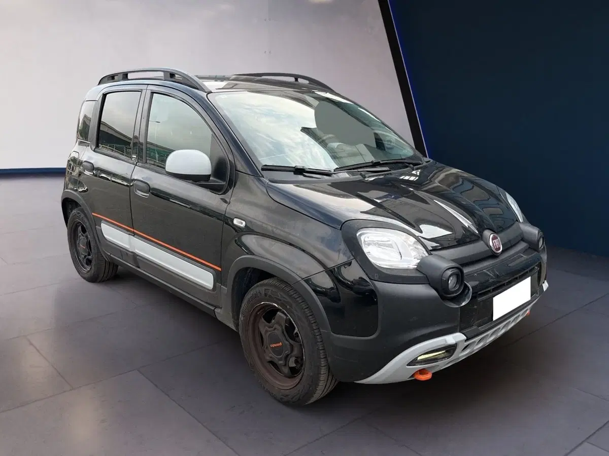 Fiat Panda Cross usata a Torino (3)