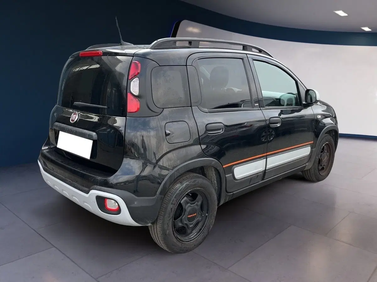 Fiat Panda Cross usata a Torino (4)