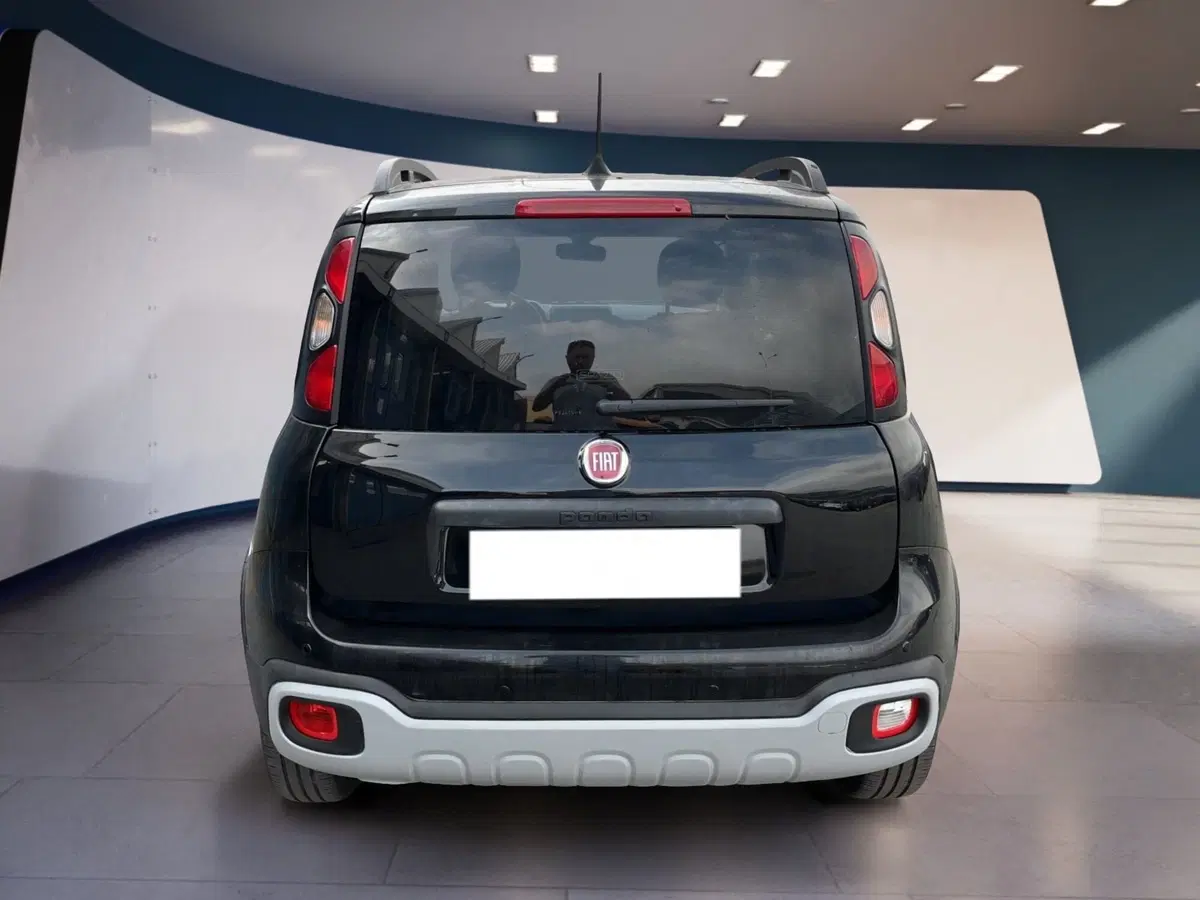 Fiat Panda Cross usata a Torino (5)
