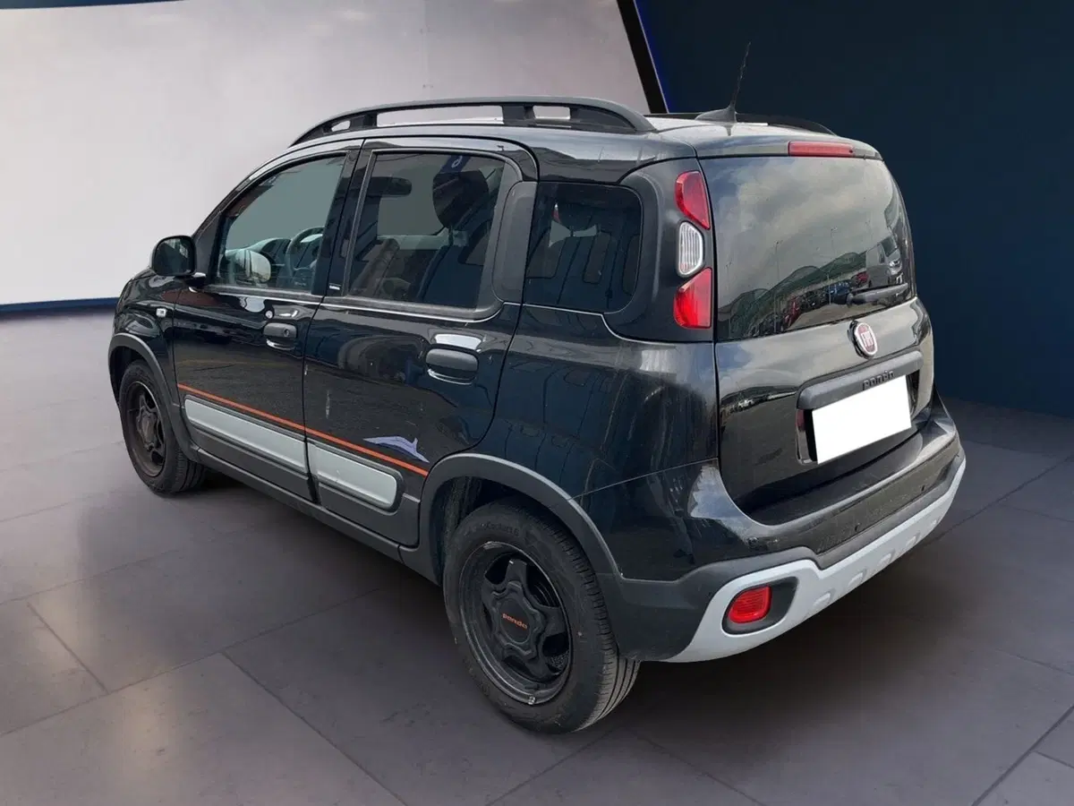 Fiat Panda Cross usata a Torino (6)