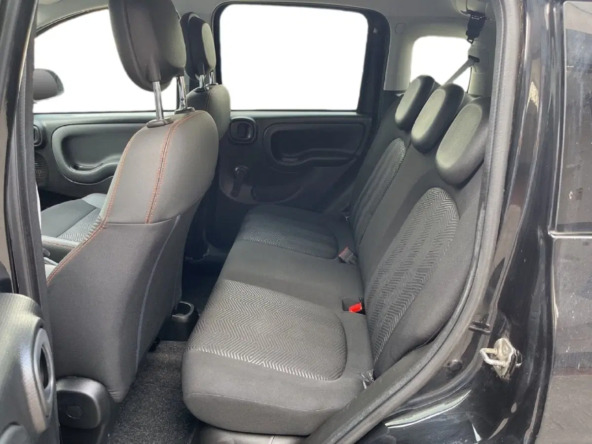 Fiat Panda Cross usata a Torino (7)