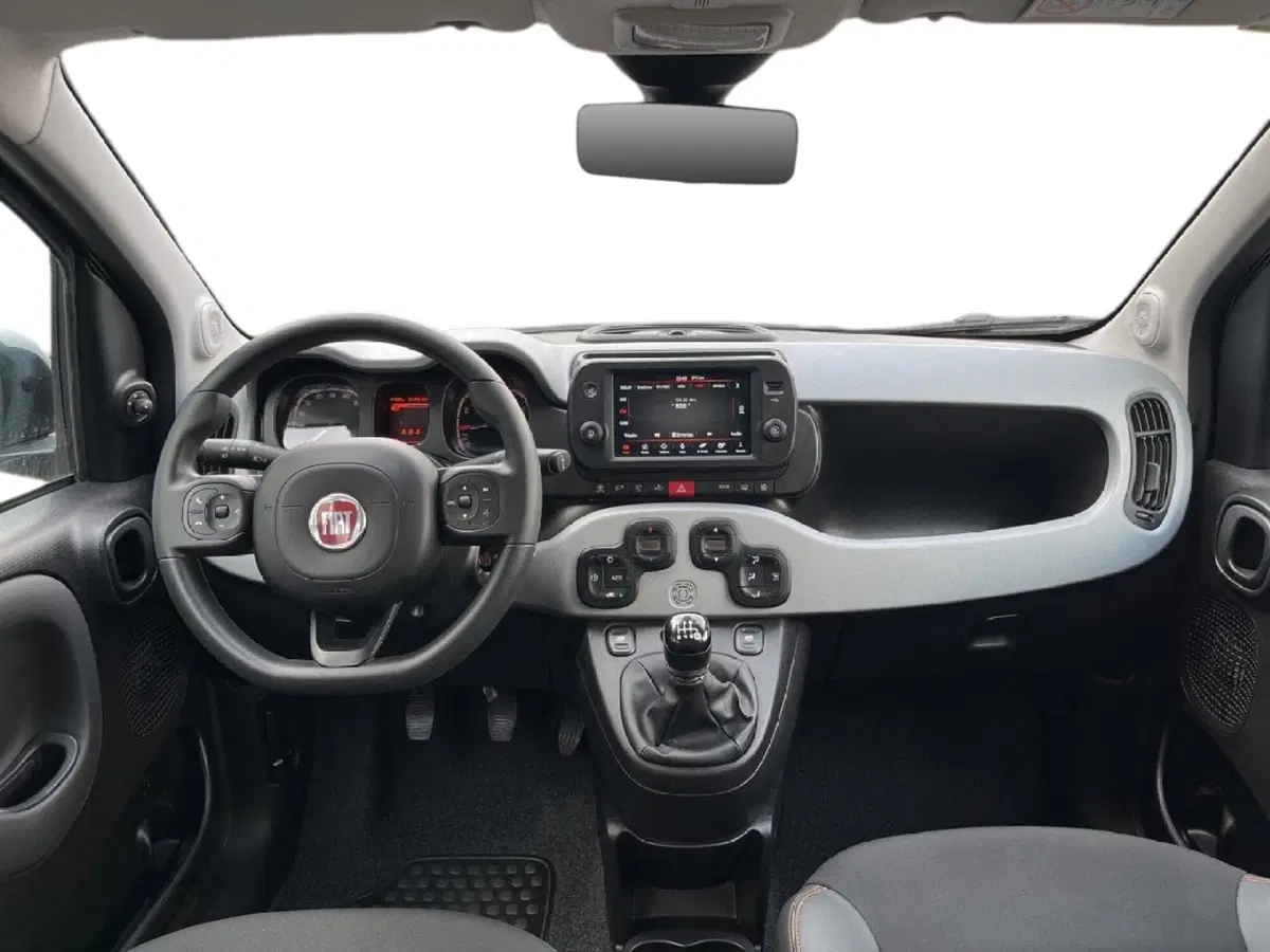 Fiat Panda Cross usata a Torino (9)