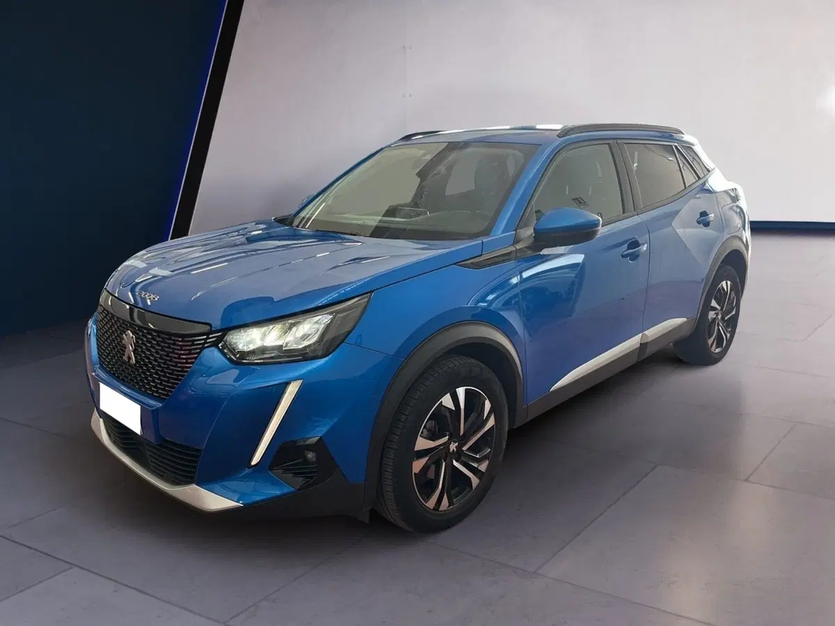Peugeot 2008 usata a Torino (2)