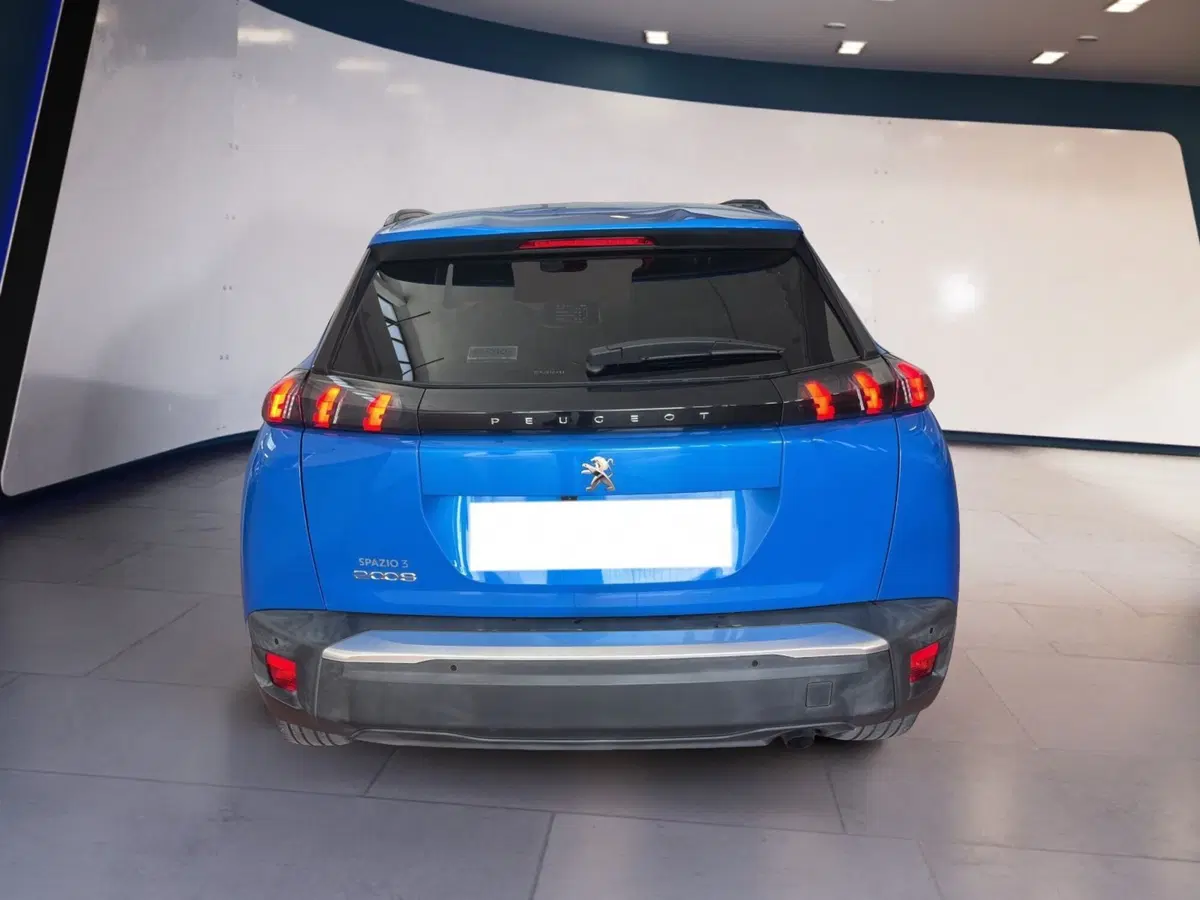 Peugeot 2008 usata a Torino (5)