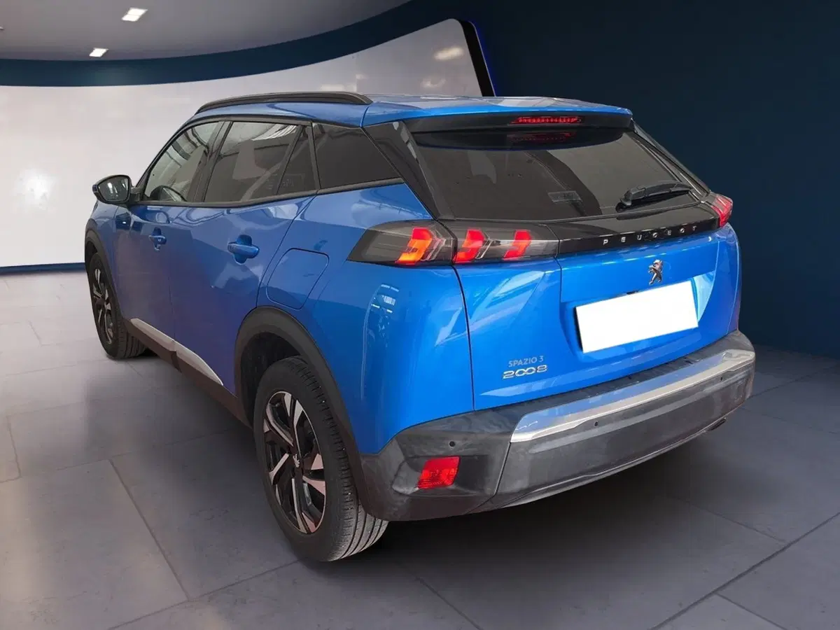 Peugeot 2008 usata a Torino (6)
