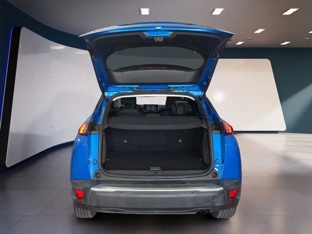 Peugeot 2008 usata a Torino (7)