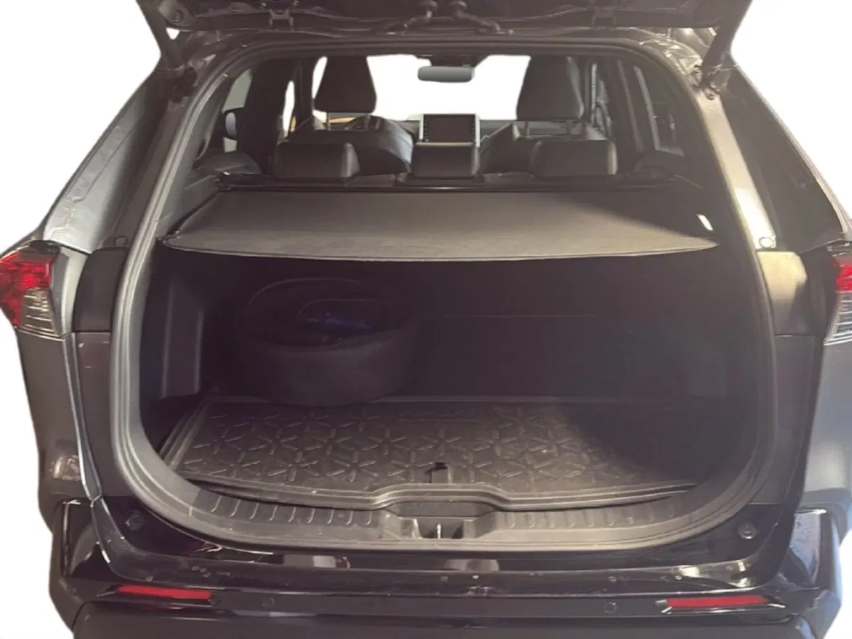 Toyota Rav4 usata a Milano (10)