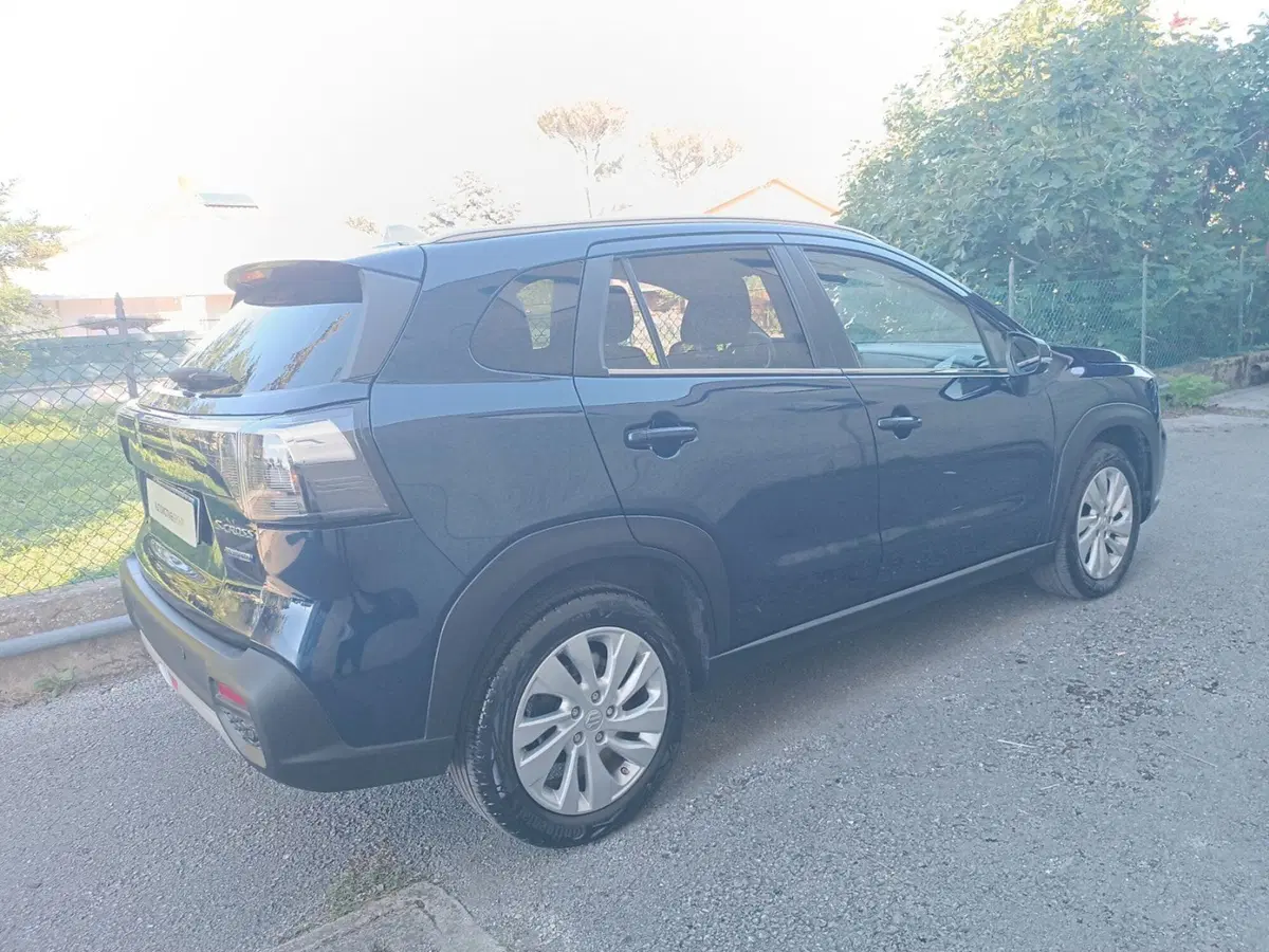Suzuki S-Cross usata a Forlì-Cesena (13)